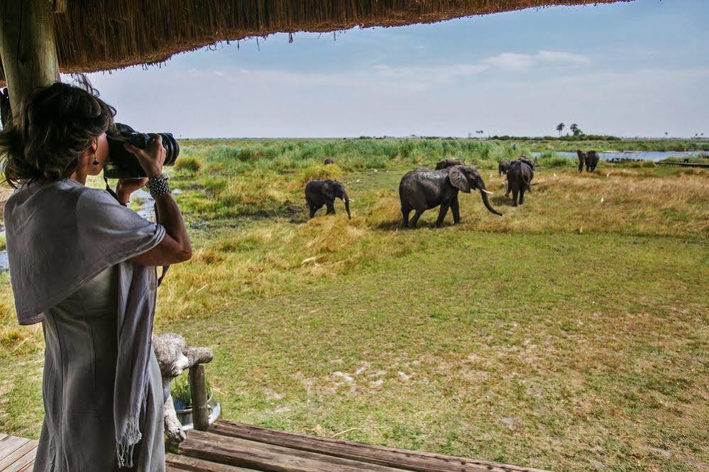 Selinda Camp Hotel Selinda Reserve Ngoại thất bức ảnh
