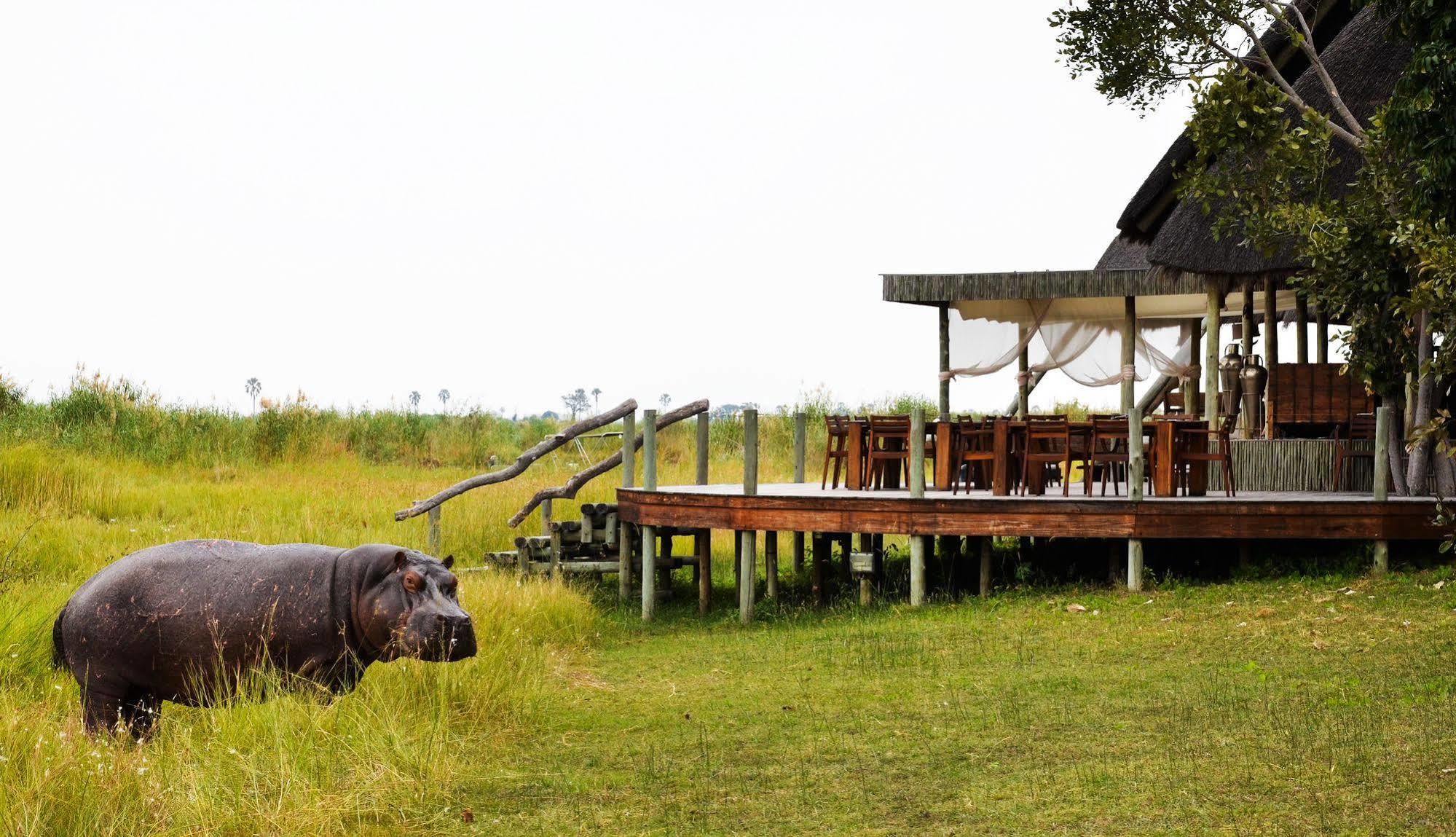 Selinda Camp Hotel Selinda Reserve Ngoại thất bức ảnh