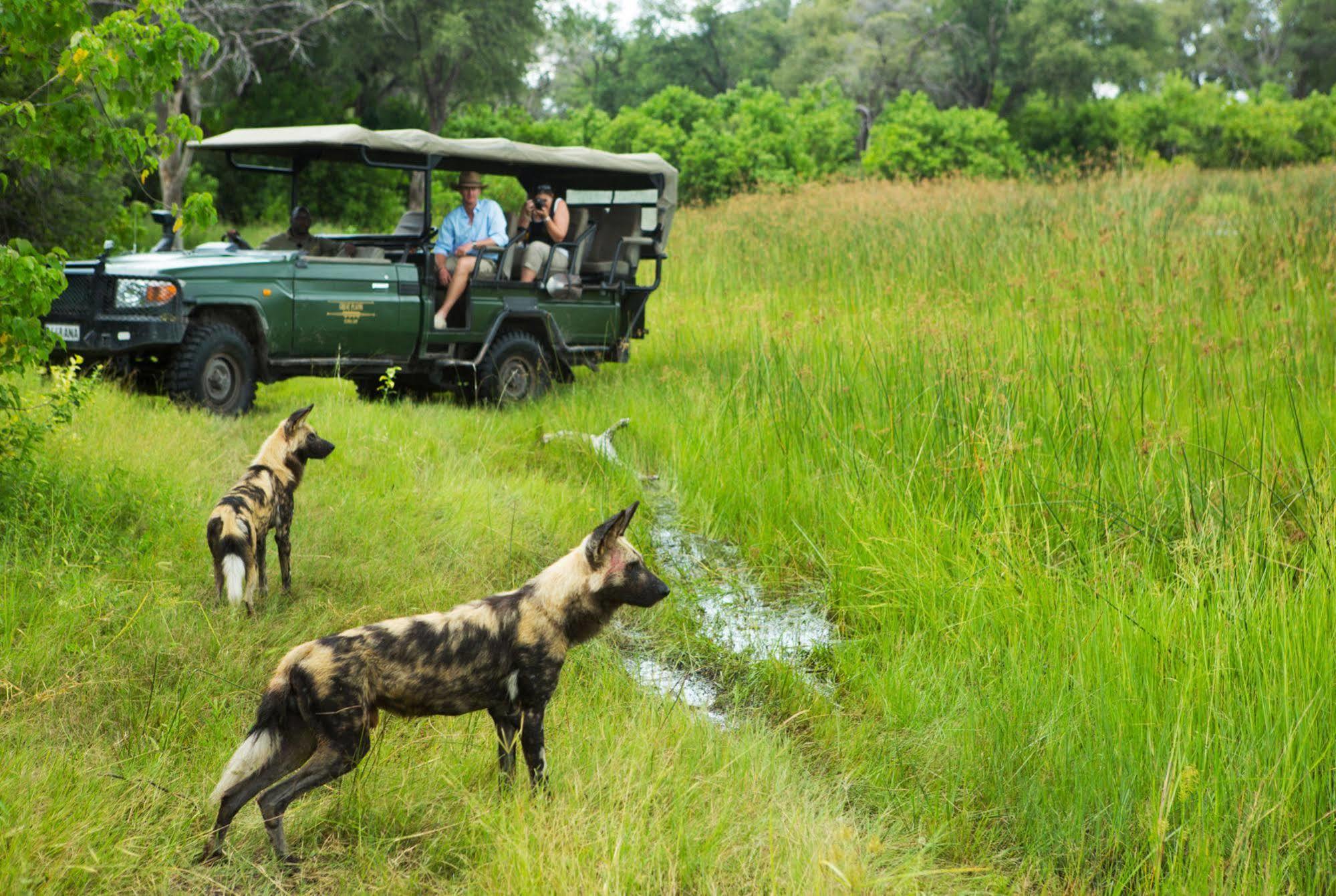 Selinda Camp Hotel Selinda Reserve Ngoại thất bức ảnh
